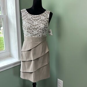 NWT connect apparel purple dress 8P